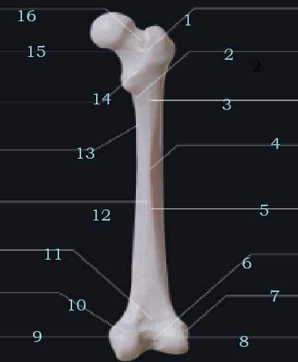 8bb534ad-b401-4a07-8b0c-8ee290285be8-image.png