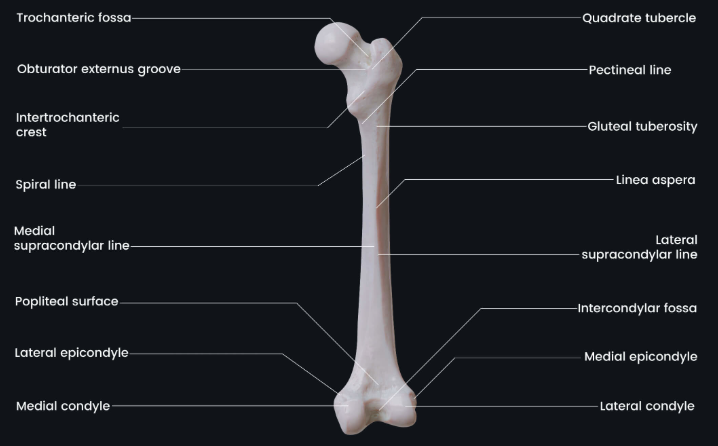 c65988de-927e-49f3-a303-5fab5b16c349-image.png