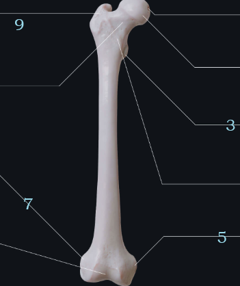 090205a8-dc19-4036-baa6-c265e07a8591-image.png