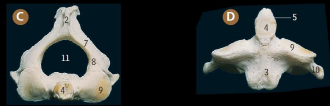 78ef5faa-fc94-4954-a9b9-b6132fe492ed-image.png