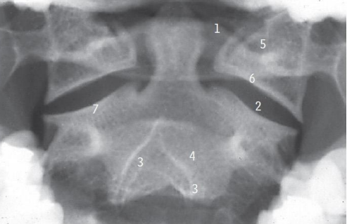 b954d0d1-3f8d-4d37-8386-9a5cea1a6084-image.png