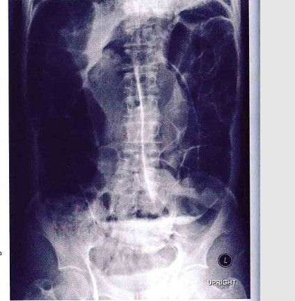3a739803-b71f-43e0-94e5-70404dda3e34-image.jpeg